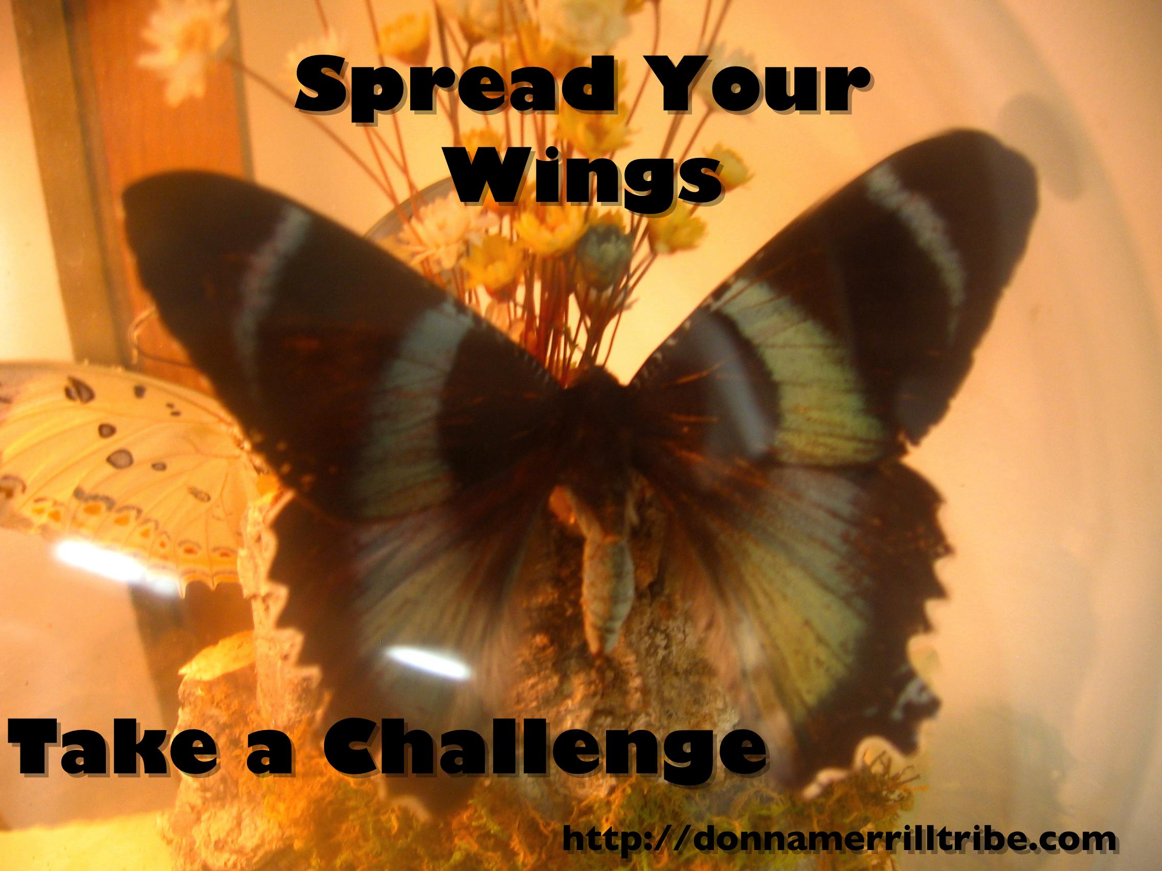 Spread Your Wings And Challenge Yourself! ♫ Donna Merrill Tribe