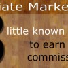 Earn More Affiliate Commissions