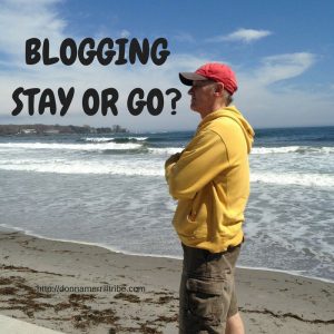 Should I Quit Blogging Or Should I Stay?