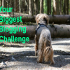 Your Biggest Blogging Challenge