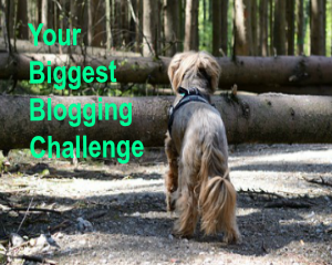 Your Biggest Blogging Challenge