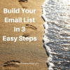 BUILD YOUR EMAIL LIST
