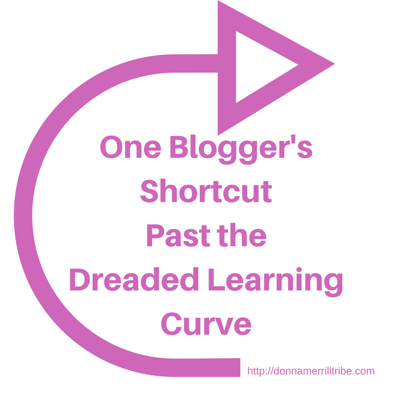 Blogger's Shortcut Past The Dreaded Learning Curve