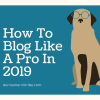 How to Blog like a pro in 2019
