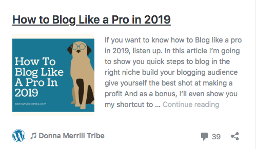 Blog like a pro in 2019