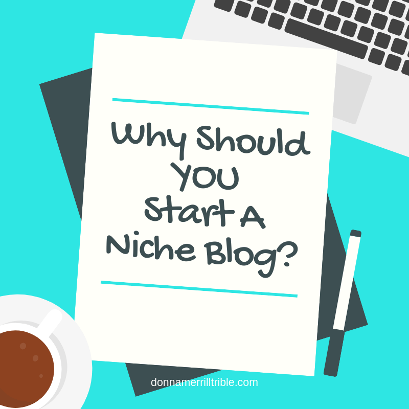 start a niche blog