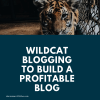 Be a Wildcat Blogging Entrepreneur to Build a Profitable Blog