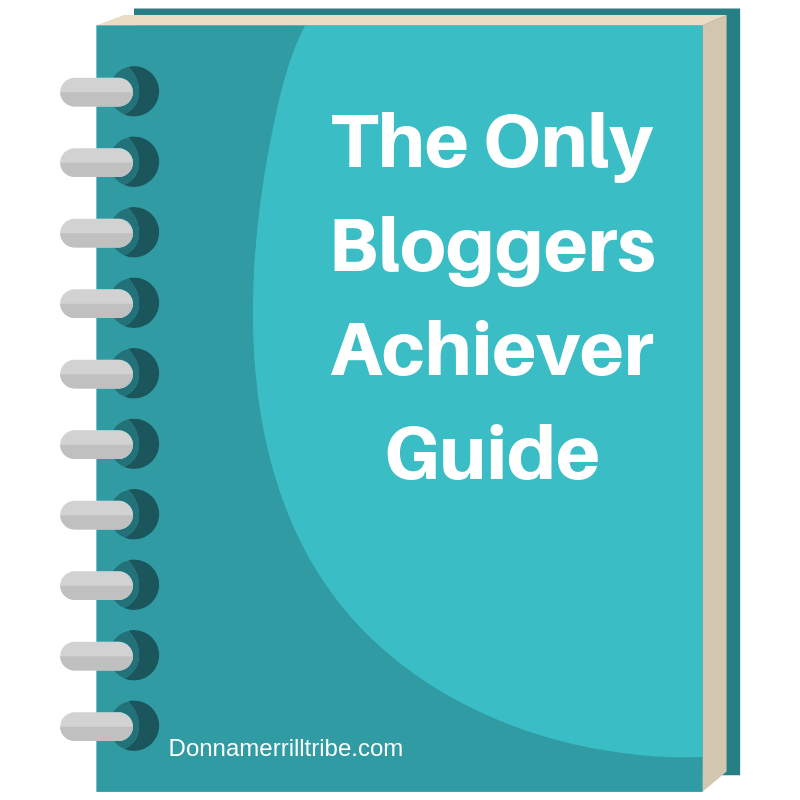 The only bloggers achiever guide