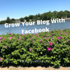 Grow Your Blog With Facebook