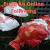 Build an Online Following