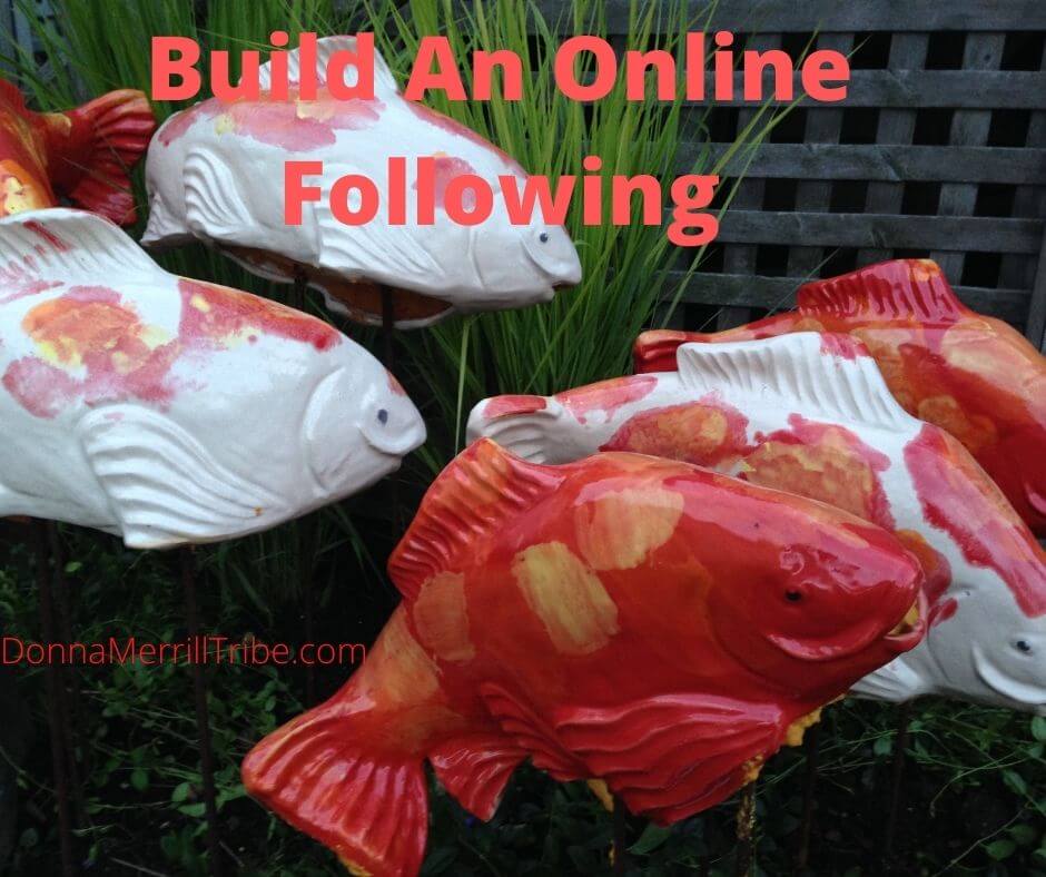 Build an Online Following