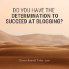 determination to succeed at blogging