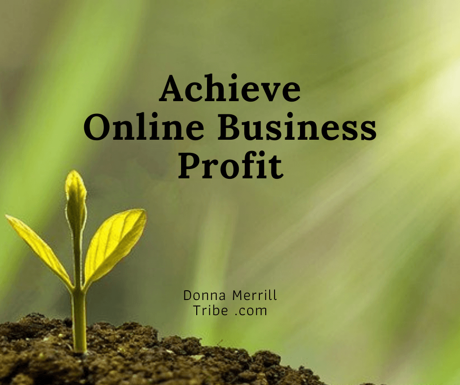 Achieve Online Business Profit