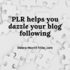 PLR for your blog following