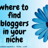 find niche bloggers