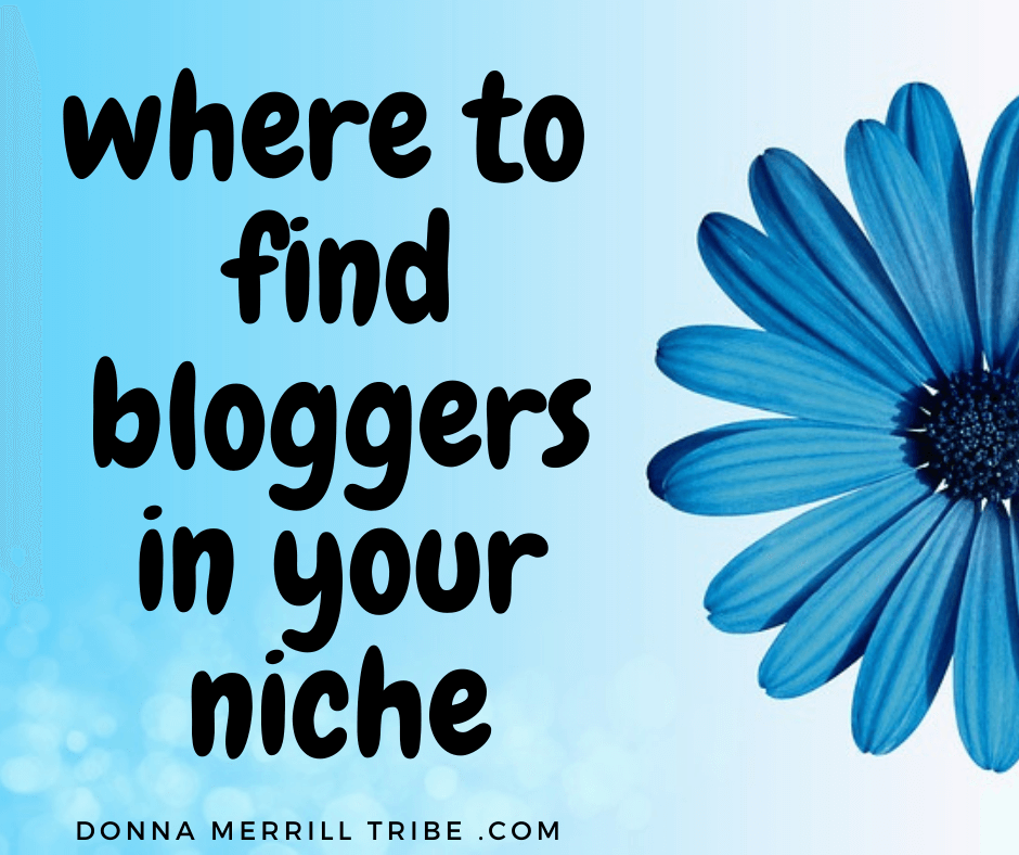 find niche bloggers