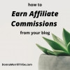 Earn Affiliate Commissions from your blog