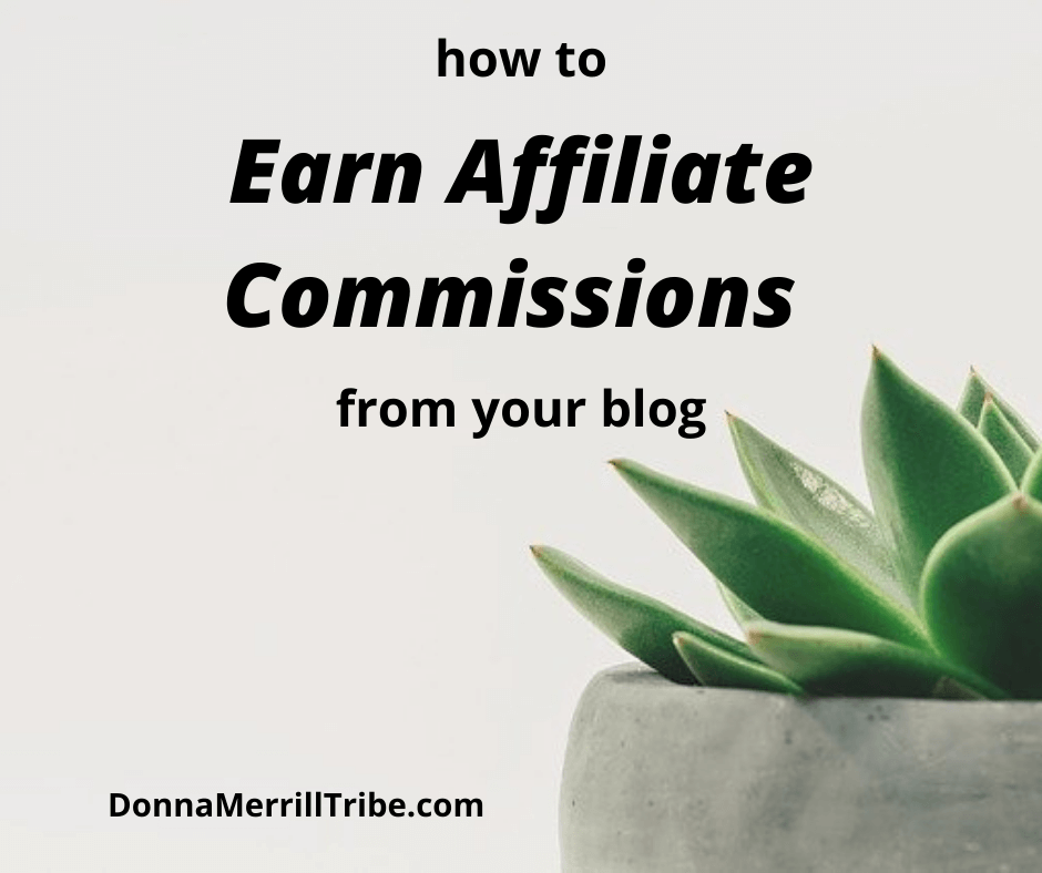 Earn Affiliate Commissions from your blog