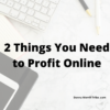 2 things you need to profit online