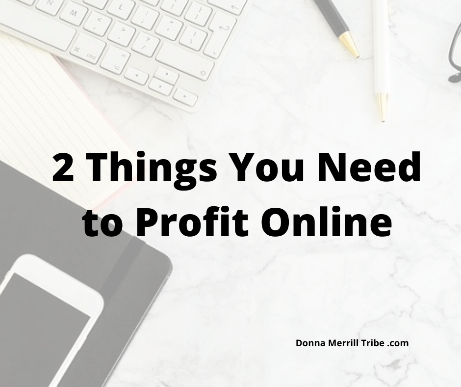 2 things you need to profit online